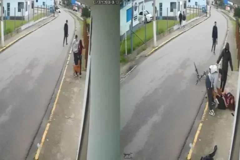 Pit bull em situação de rua ataca jovem: “Achei que ia me estraçalhar”