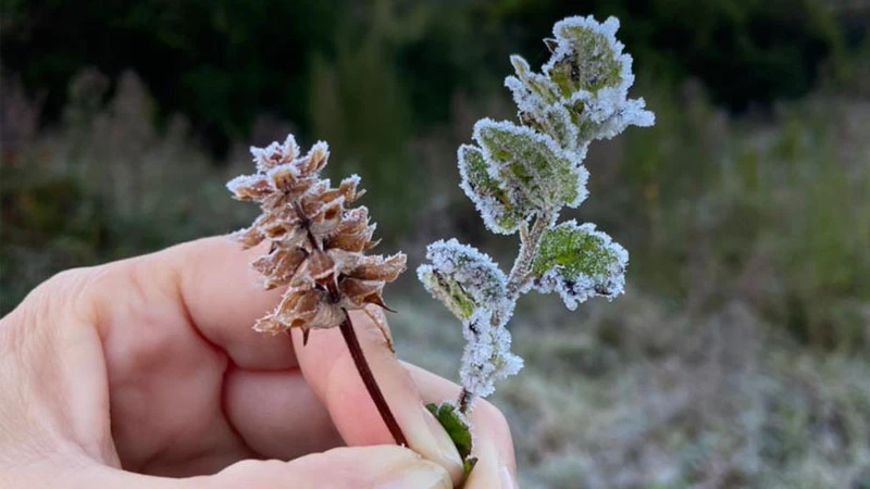 Cidades mineiras estão sob alerta de baixas temperaturas