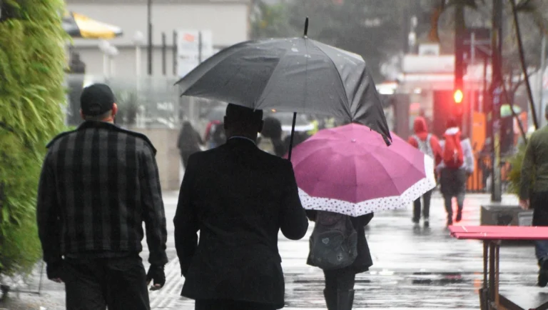 Gangorra térmica: nova frente fria muda o clima em SP após dias de calor