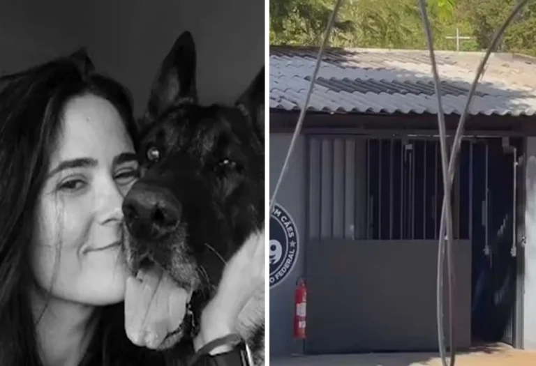 Veterinária perde a vida após ataque de cão dentro de Canil do Senado Federal