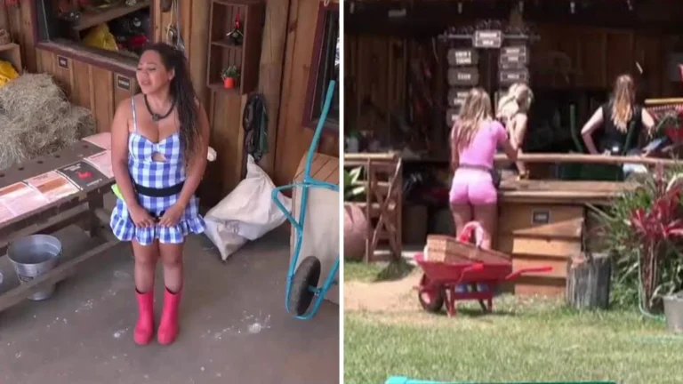 Desistiu? Darlin Ferrattry toca sino em “A Fazenda 18”; entenda