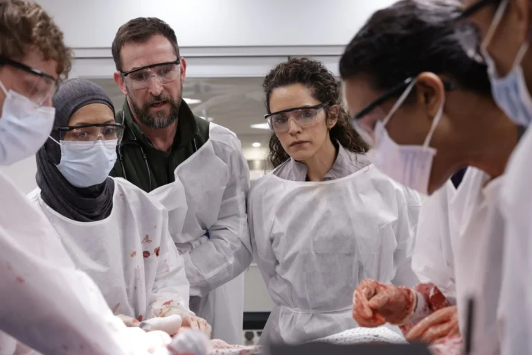 “The Pitt”: série será homenageada por “representação médica autêntica”