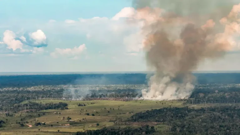 Pará tem a maior quantidade de focos de incêndio no Brasil em 2026