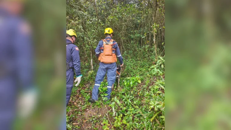 Bombeiros encontram corpo de homem desaparecido em Florianópolis