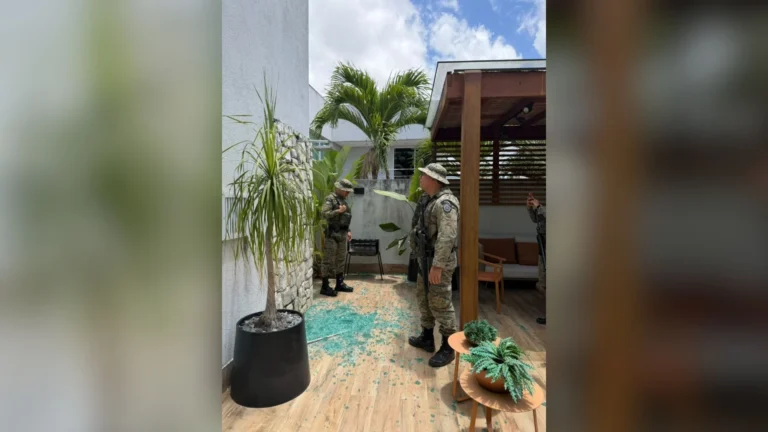 Macaco-prego invade casas, bebe álcool e remédio e fere cinco pessoas na BA