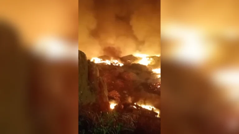 Governo reforça combate a incêndios no Amazonas com 160 profissionais